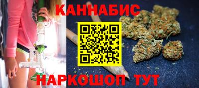 Альфа ПВП Можга