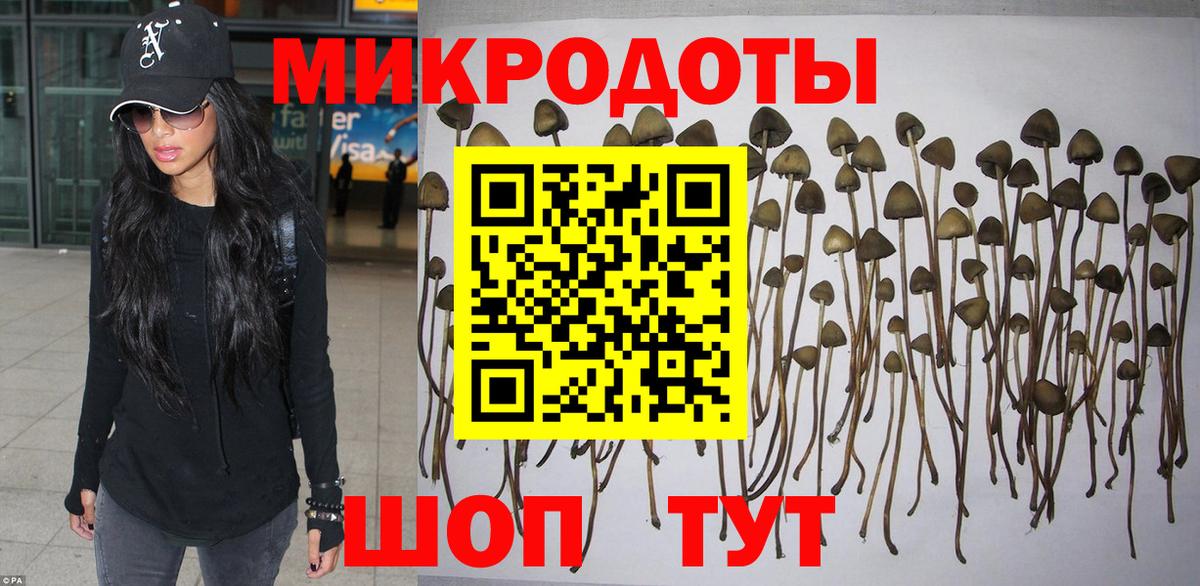 Галлюциногенные грибы прущие грибы Томск